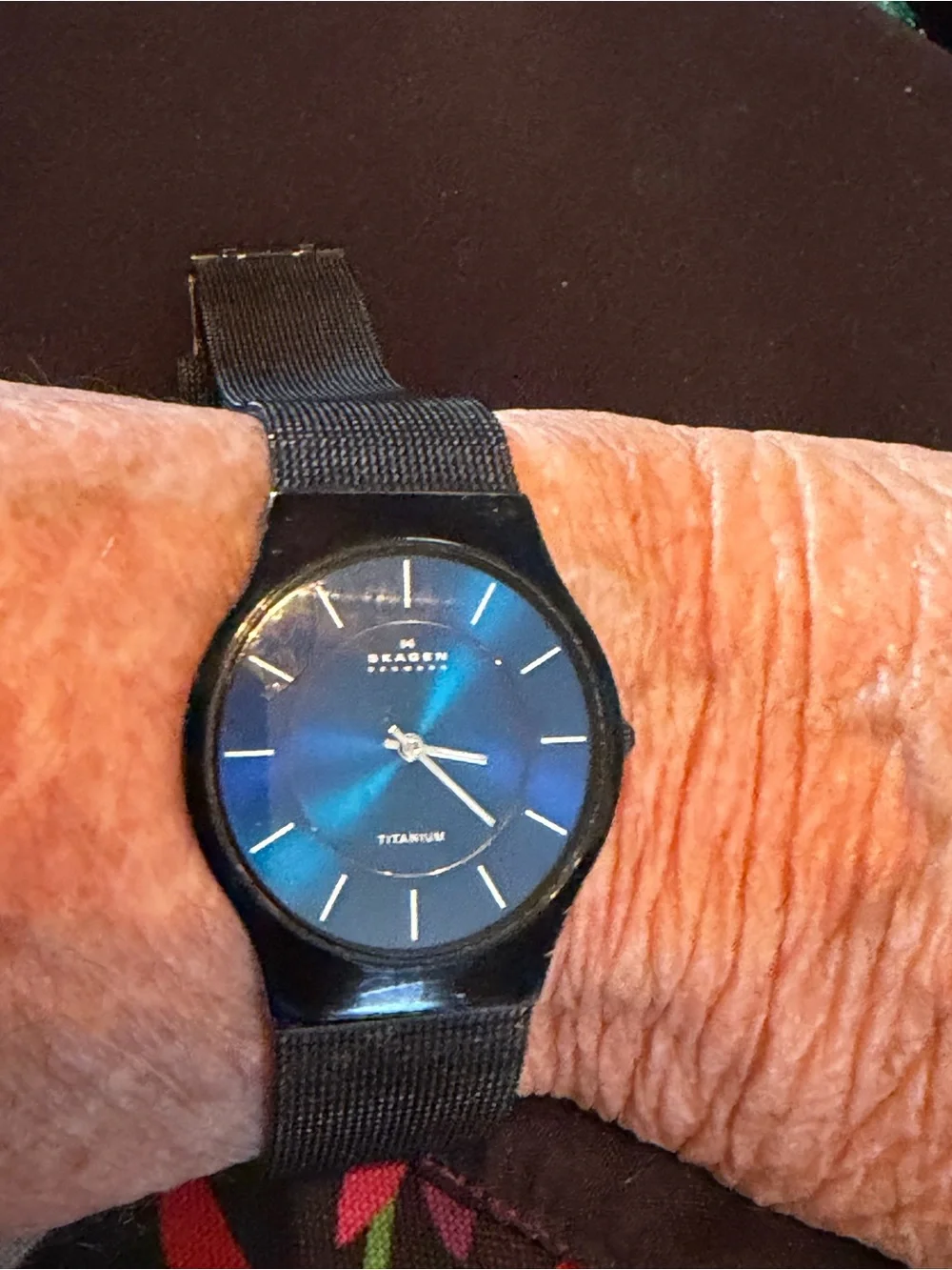 Skagen Black Blue Dial Watch